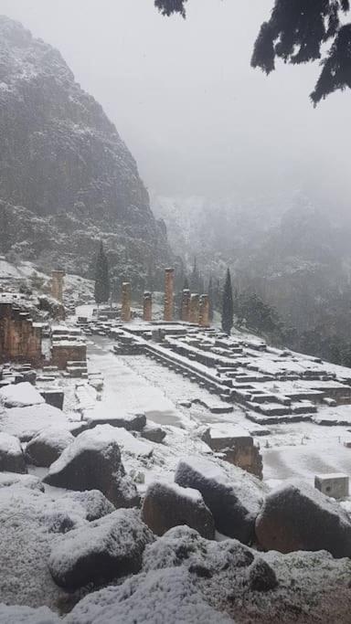 Апартаменти 'Ηδιστον,Delphi Екстер'єр фото
